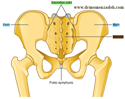 مفصل ساکروایلیاک